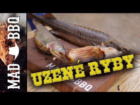 Video: Jak Udržet Uzené Ryby