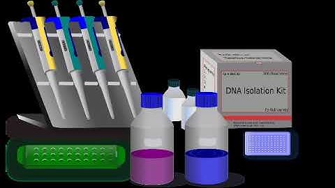 Good Laboratory Practices - Molecular Laboratory