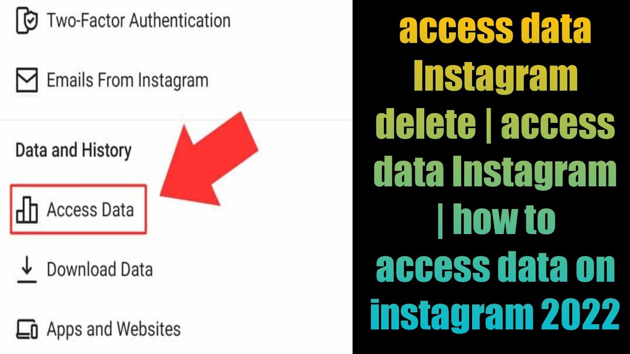 access data Instagram delete access data Instagram how to access