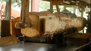 Extreme Fastest Automatic Wood Sawmill Machines Working   Wood Cutting Machine Modern Technology
