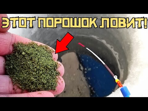 ЗЕЛЁНАЯ СЫПУХА УДИВИЛА! Накормил ЭТИМ и КЛЮЁТ! Рыбалка в марте 2024