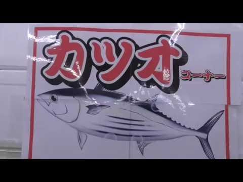 エビング入門 相模湾キハダ キメジ カツオ編 Youtube