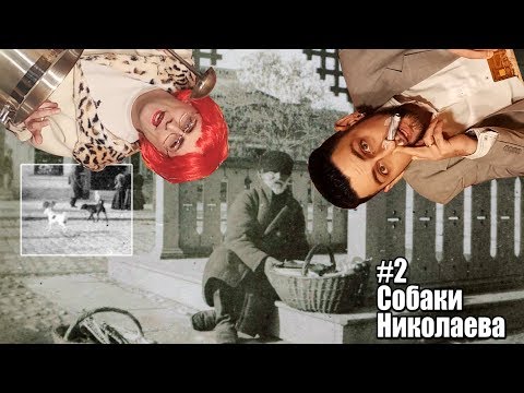 Исторический Развод - #2 Собаки Николаева