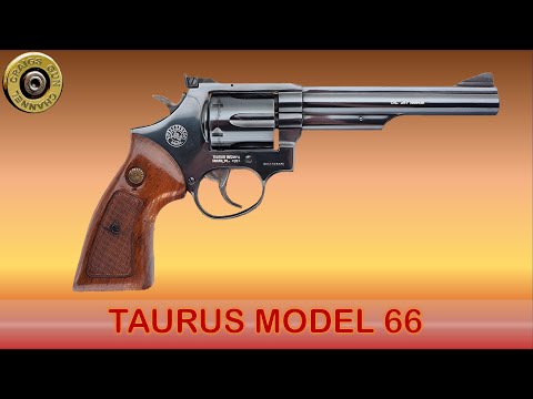 TAURUS 66