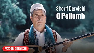 Sherif Dervishi - O pellumb