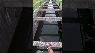 I tried to jump all the way 🤣...