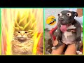 Videos Divertidos De Perros 2023 😅👌 - Los Mejores Videos De Animales Del Mes 😁