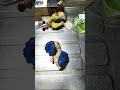 #funny いただきます