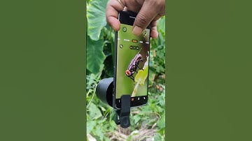 MACRO PHOTOGRAPHY 💯 with Mobile 📲|| #photography #ytshorts #shorts