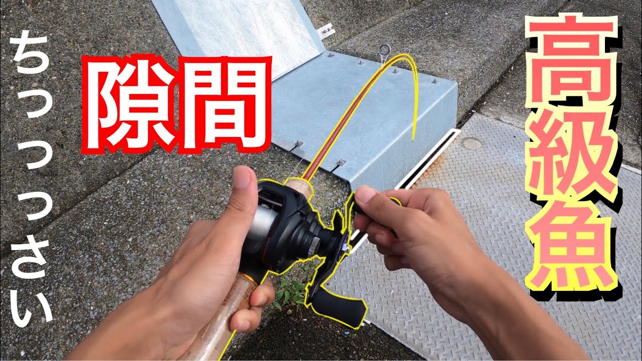 【衝撃】ちっっっさい隙間に仕掛けを入れると高級魚連発