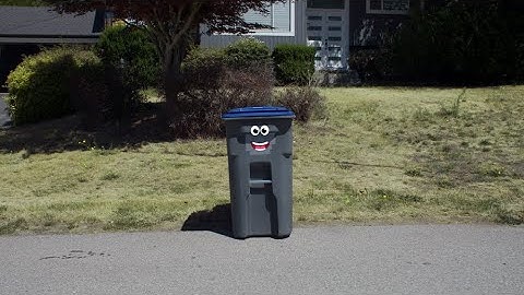 Recycling Tips from a Surrey Blue Bin