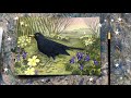 An english garden visit and mr blackbird becomes the star in a painting