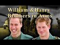 William and harry brothers in arms 2017 british royal prince heir and spare princess diana