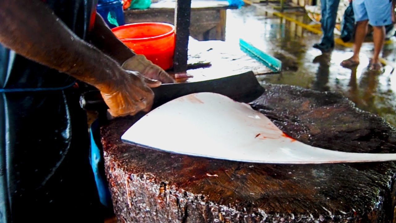 Fastest Cheese Cutter Fish Cutting Skill YouTube