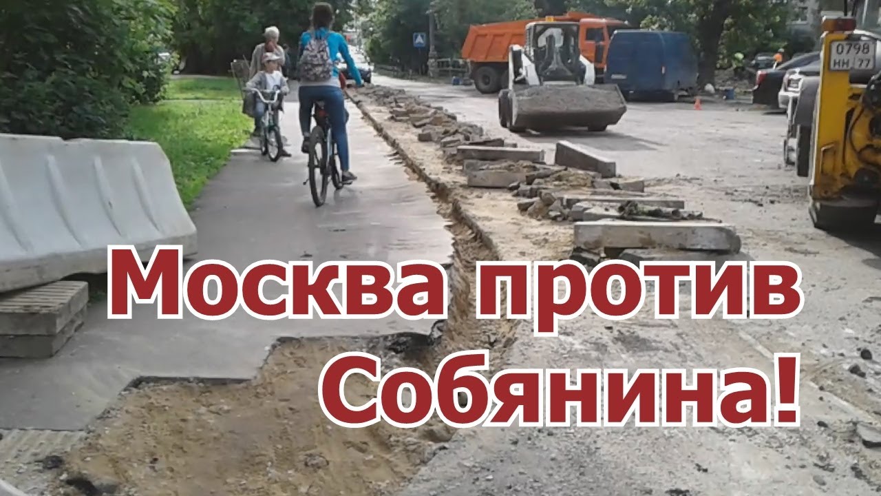 Москвичи против собянина