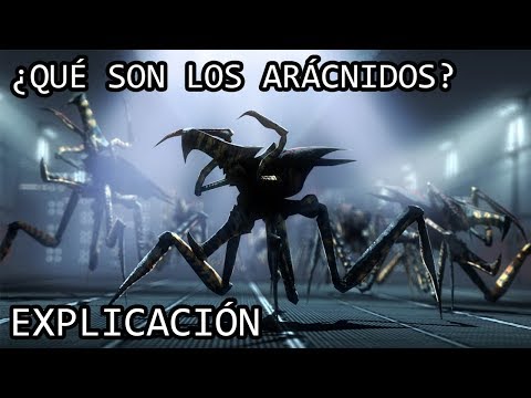 Qué son los Arácnidos de Starship Troopers? EXPLICACIÓN