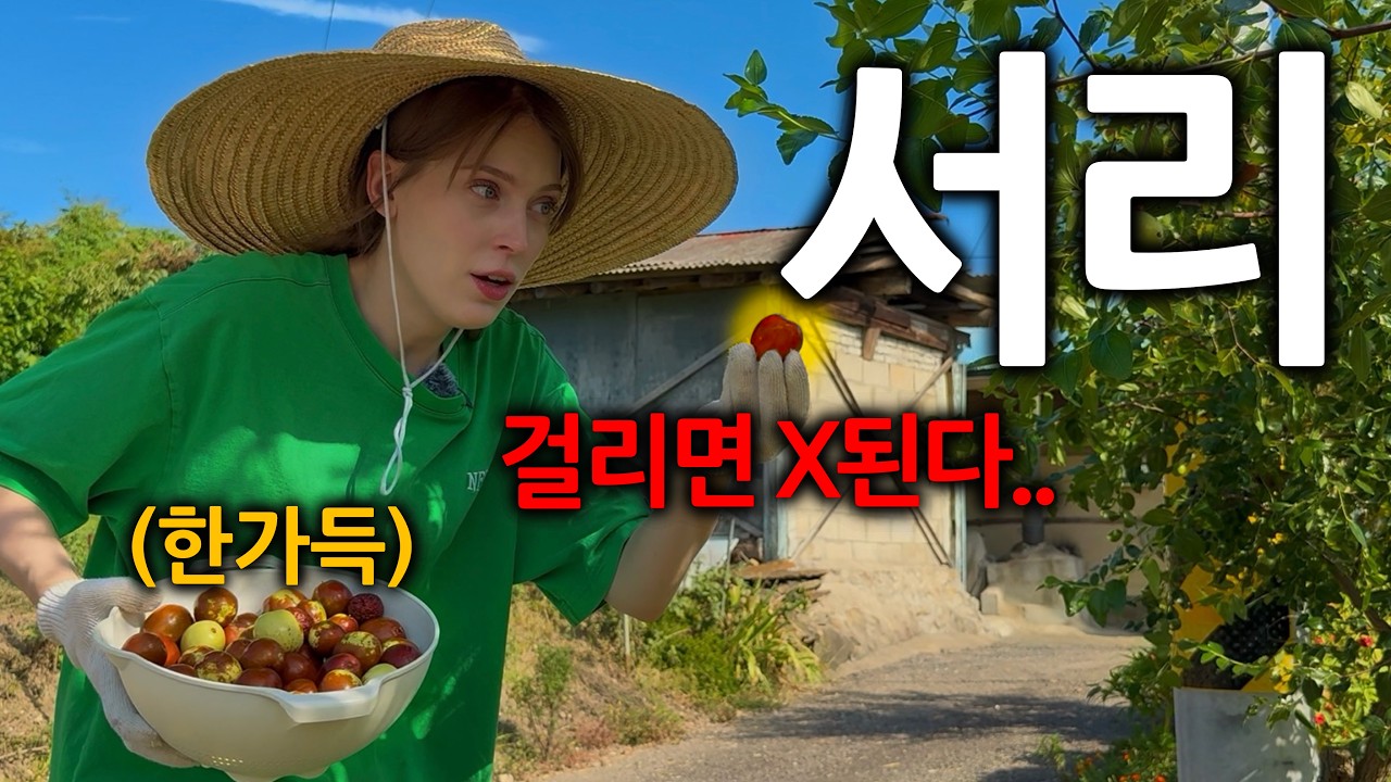 한국 사는 독일여자가 배고파서 몰래 옆집 서리하면 생기는 일ㅋㅋ