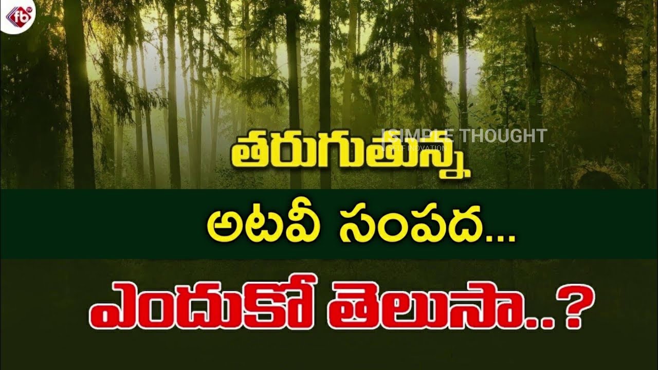 Disaster Management System or Public in India | తప్పు ఎవరిది ...? | Simple Thought | Part 2