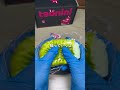 美味しそうな抹茶のビスケットスクイーズでASMR