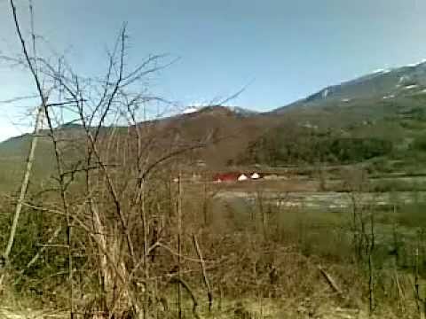 ყორნალა