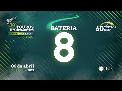 BATERIA 8 - 14º Leilão de Touros Melhoradores Nelore OL - Edição Virtual