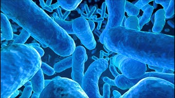 Thrive Microbe Theme (Now a Microbe Editor Theme)