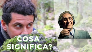 Video thumbnail of "LA CURA di Franco Battiato: Il Significato Spirituale"