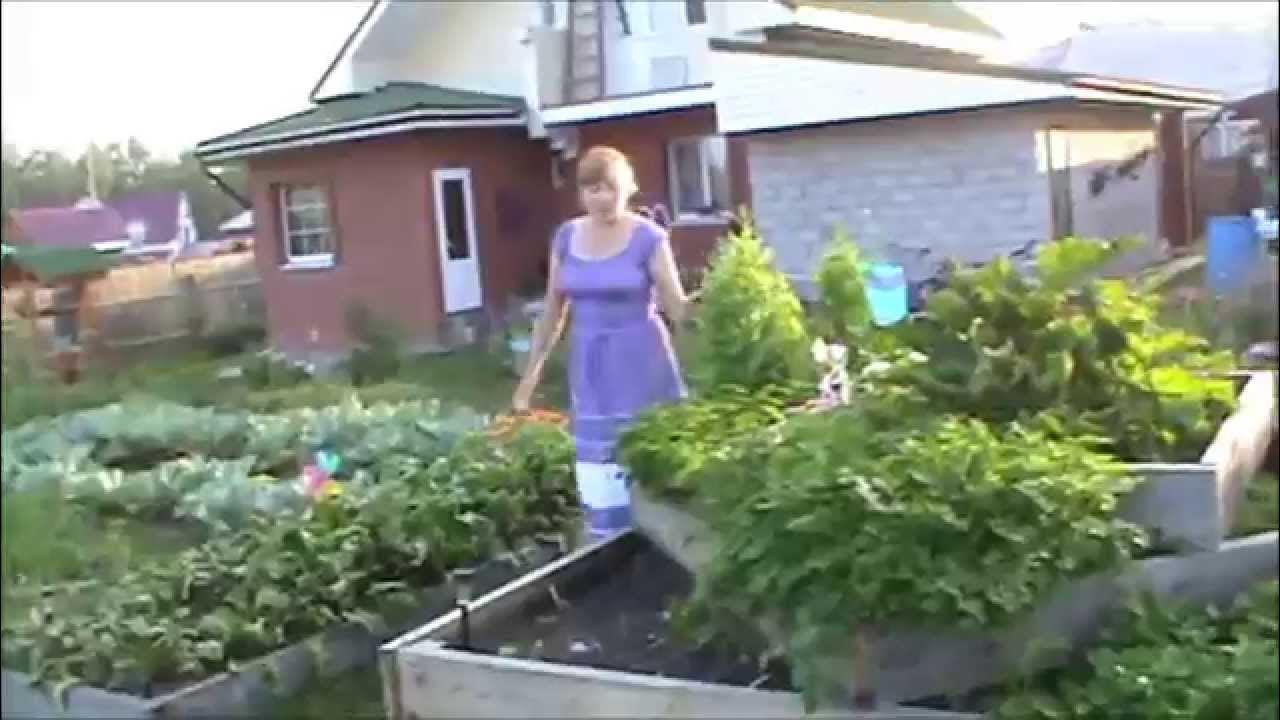 Загорает на даче. На даче без. Старушки на даче. С ней на даче видео. Старухи на даче на грядке.