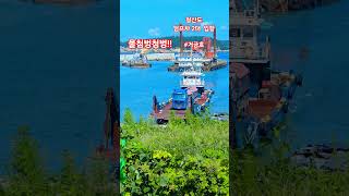 #청산도 #그섬에가고싶다 #완도 #볼보 #덤프 #FH500 #화물선 #덤프일상 #슬로우시티 #volvotrucks #volvo