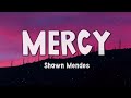 Shawn mendes  mercy lyrics