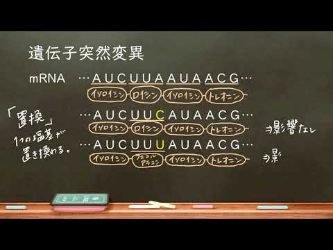 おうち生物　21.  遺伝子突然変異   (高校生物)(訂正あり)