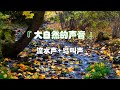 40分钟来自大自然正能量声音 水流声 鸟叫声 自然音乐 睡眠音乐