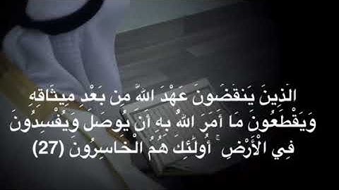 نبيل الصالح / ماتيسر من سورة البقرة  2