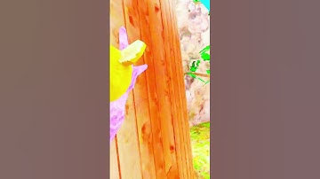 Gorilla tag￼ montage #part 2 (notion) #gtag #notion ￼#caves