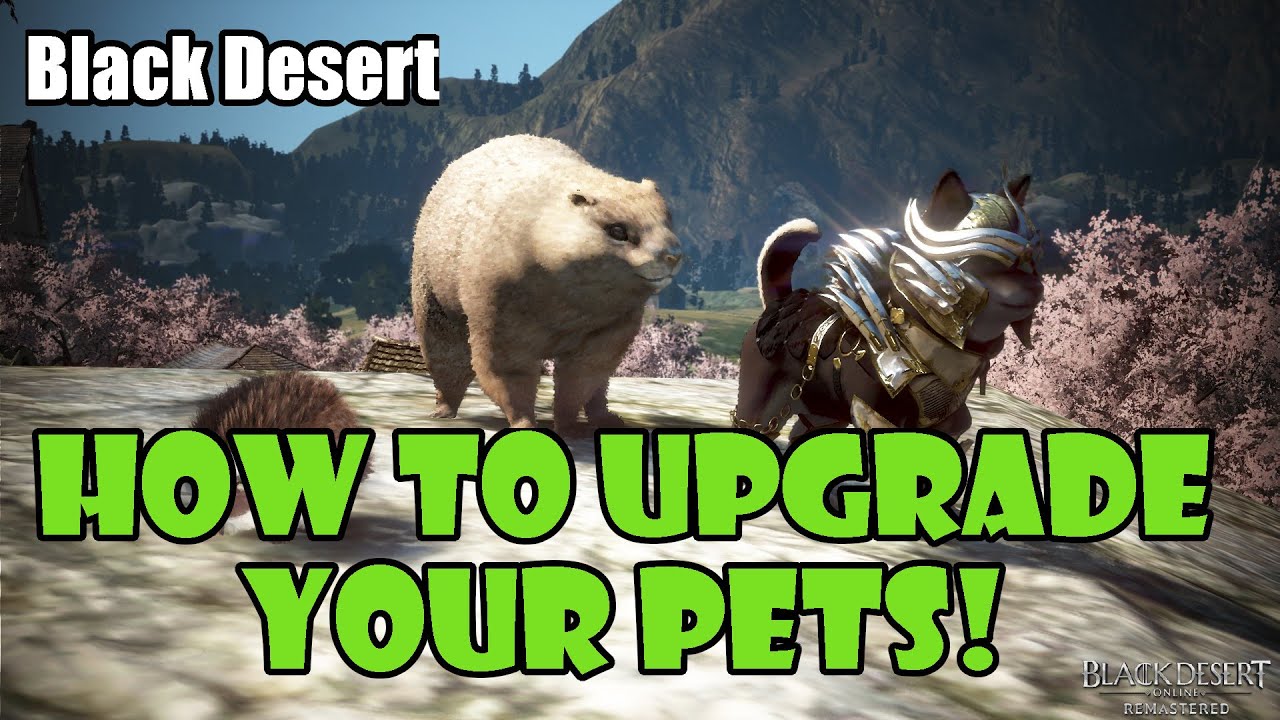 black desert online pet  Update  [Black Desert] How to Upgrade / Raise Your Pet Tier