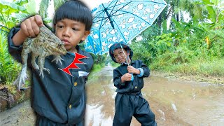 ออกจับสัตว์ช่วงฝนตก ปลาหางแดง ปูนา กบยักษ์ พี่ปลื้ม