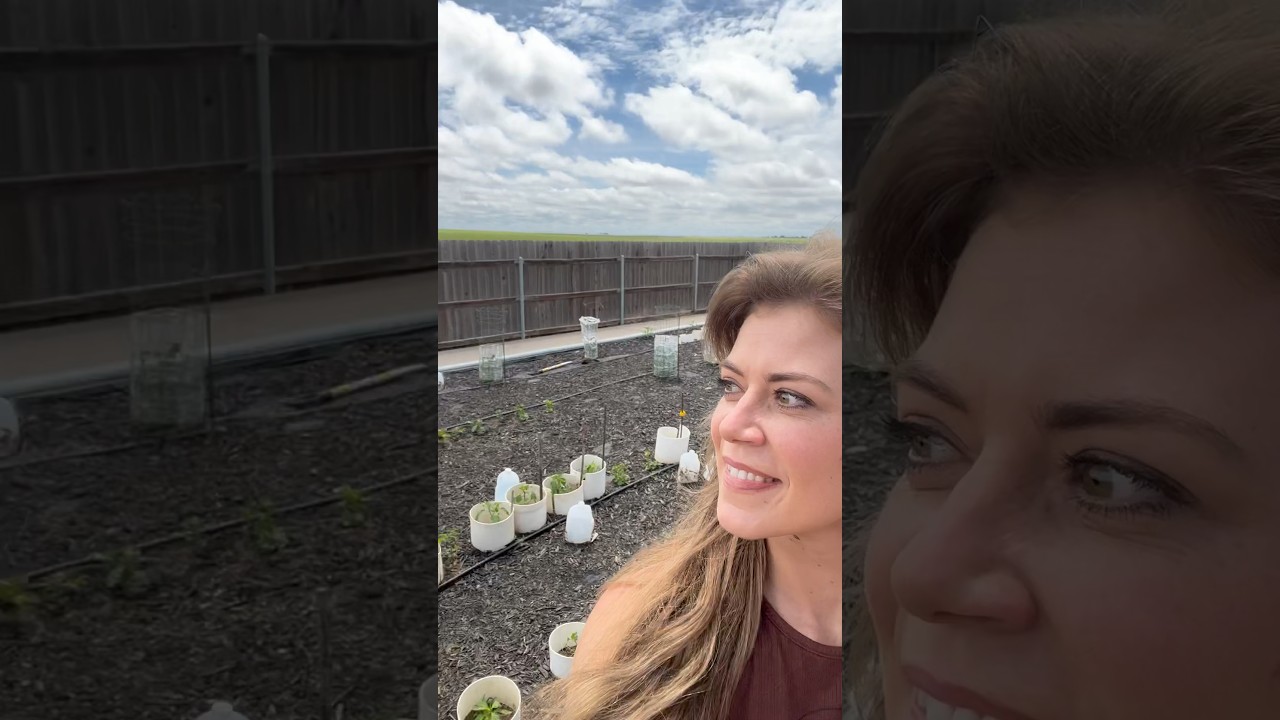 Spraying FERTILIZER🫠🥰 