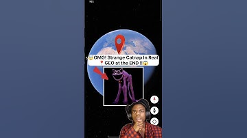 Found A Strange Catnap On Google Earth !😱 #googleearthmap #googlemap #map #shortsfeed #vairalshorts