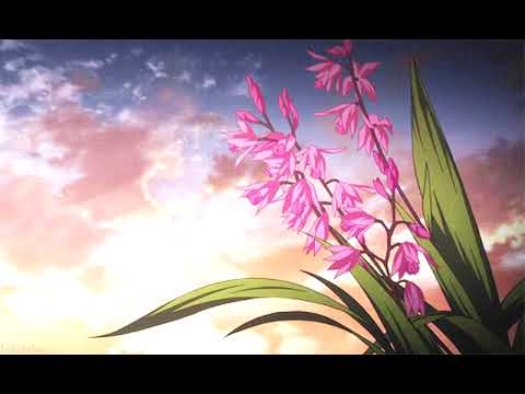 wildflower wildfire -