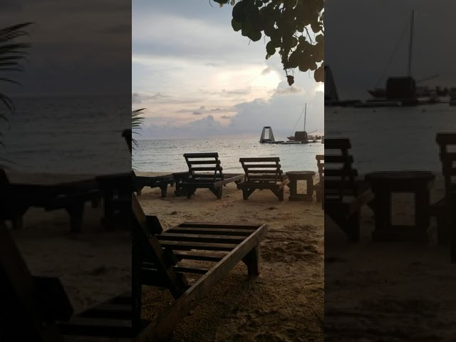 Sweet Sweet Jamaica❤️ I do not own the rights to this music