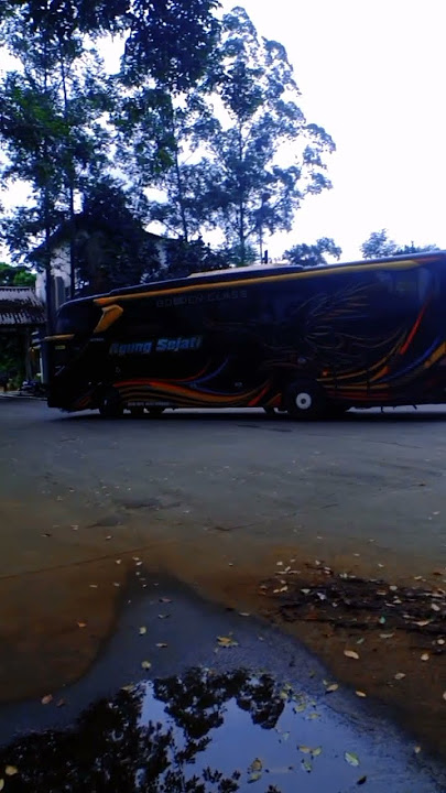 BUS AGUNG SEJATI #agungsejati #shorts