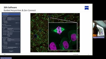 Cell Discoverer 7 workshop - part 3