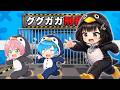 友達と『ググガガペンギン』にイタズラをしてググガガ刑務所から脱獄するロブロックス【 ROBLOX】まひてる