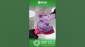 Lấy mẫu răng #nhakhoadrdee #dentist #drdee