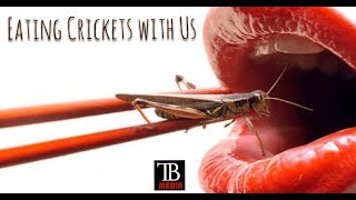 Eating CRICKETS!
