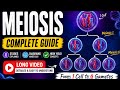 8 marks in 2 min | Prophase I | Class - 11 |
