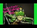 Insect World Quiz