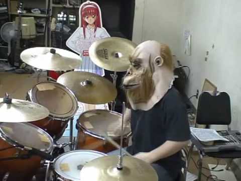 A.DOGMA, REAL DRUMS!!!!!