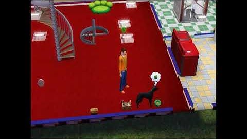 Paradox of the Stone