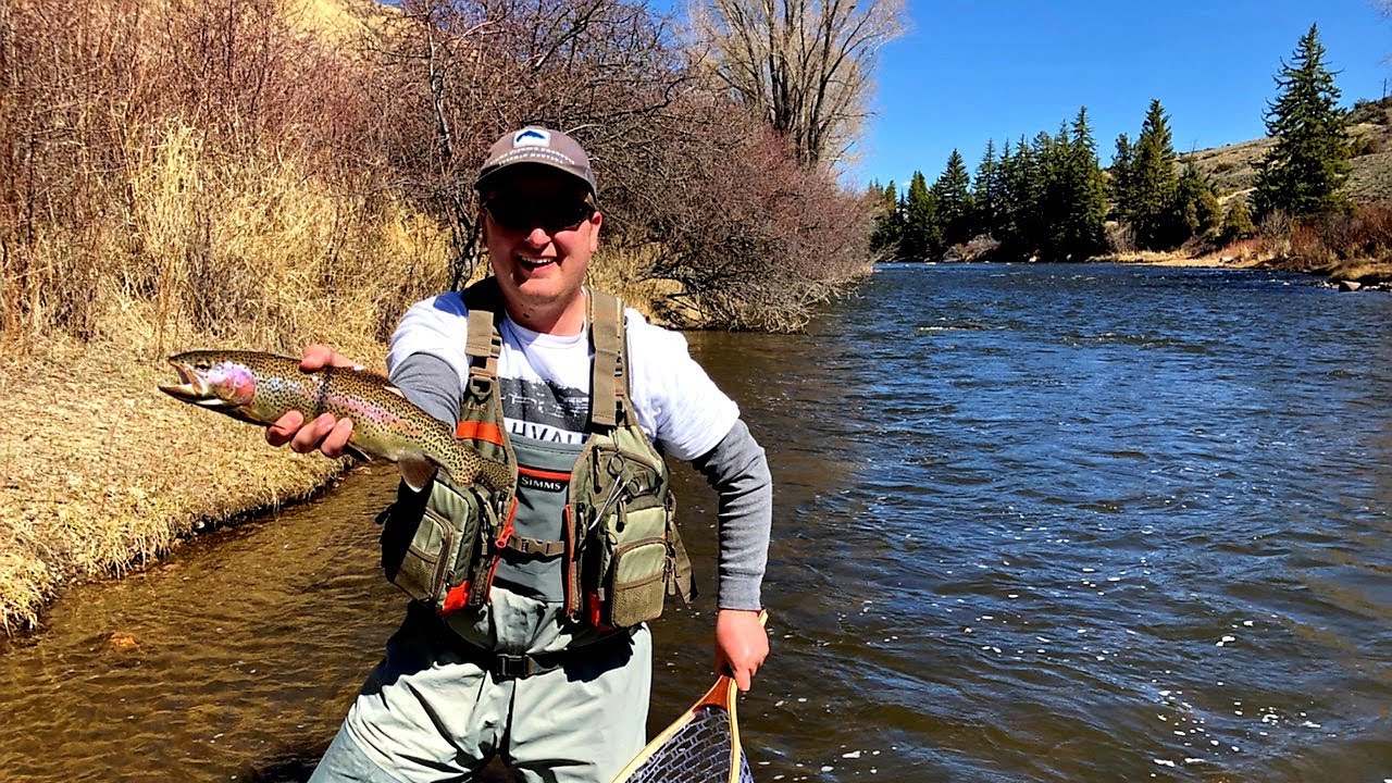 Insane Fly Fishing Colorado River Runoff YouTube